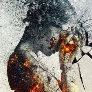 Meet your Posher, Faye